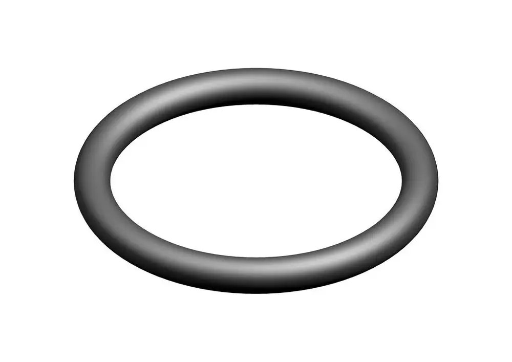 Schwarzer O-Ring von Bosch auf weißem Hintergrund, mit rundem Querschnitt und durchgehender, glatter Oberfläche.